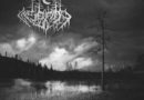 Insanity Cult Main Cover