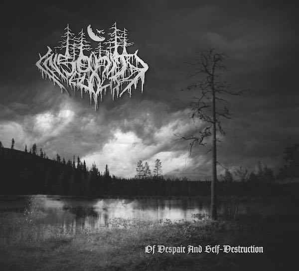 Insanity Cult Main Cover