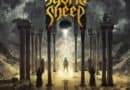 Hybrid Sheep Main Cover