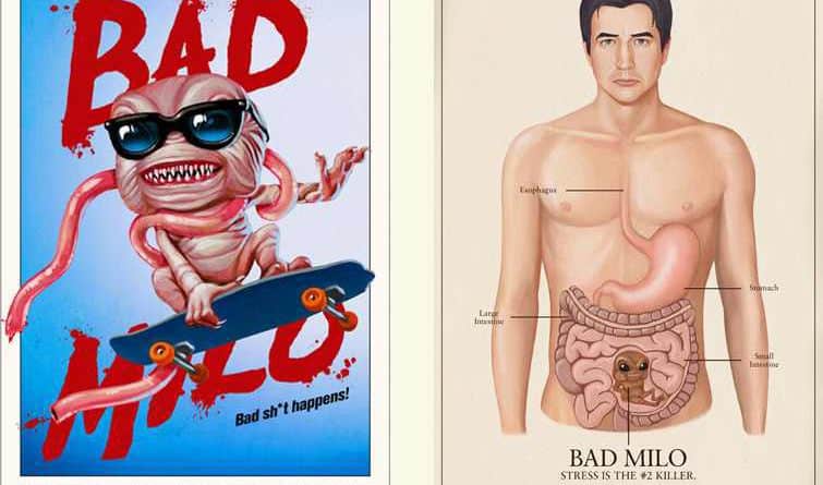 Bad Milo Cover