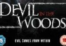 Devil in the Woods Cover