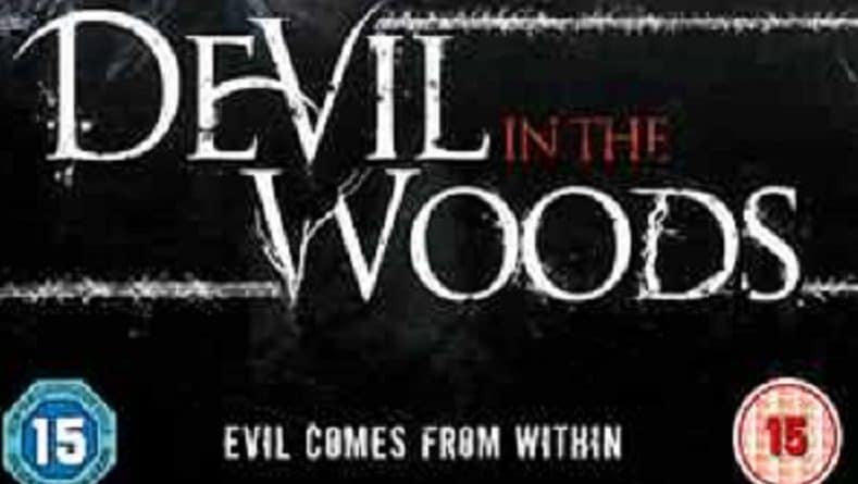 Devil in the Woods Cover