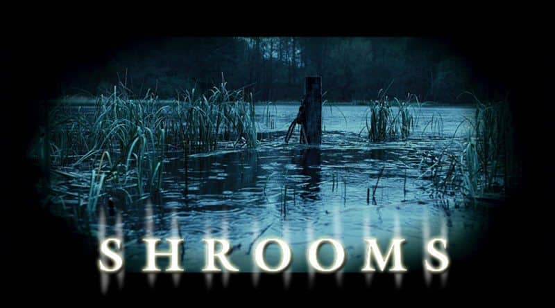 Shrooms 8