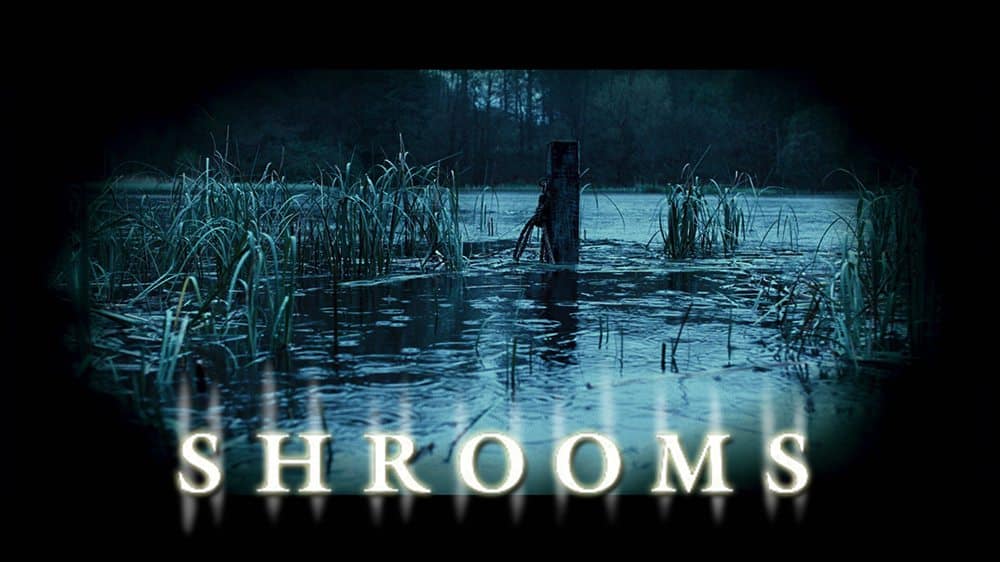 Shrooms 8