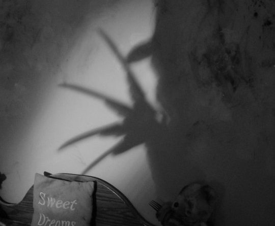 Nightmare Reborn 5