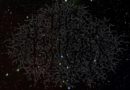 Blight 3