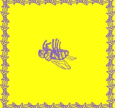 Milk Teeth 2