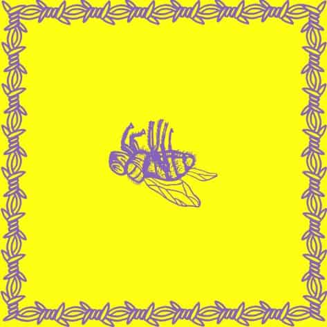 Milk Teeth 2