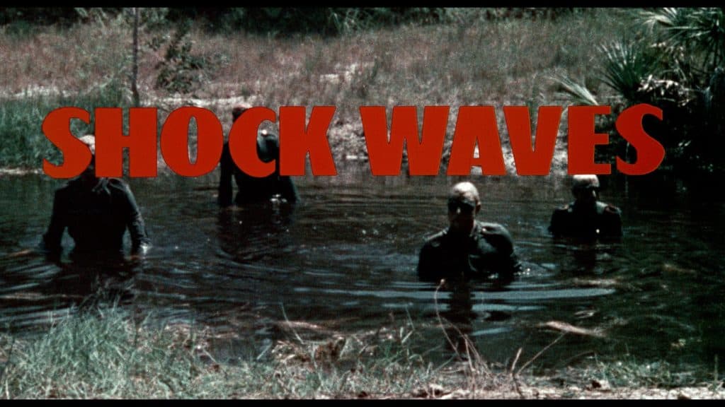 Shock Waves 6