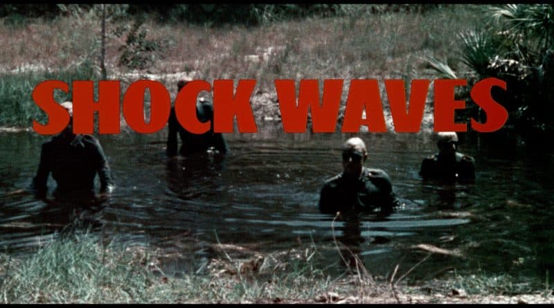 Shock Waves 6