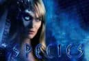 Species III 1