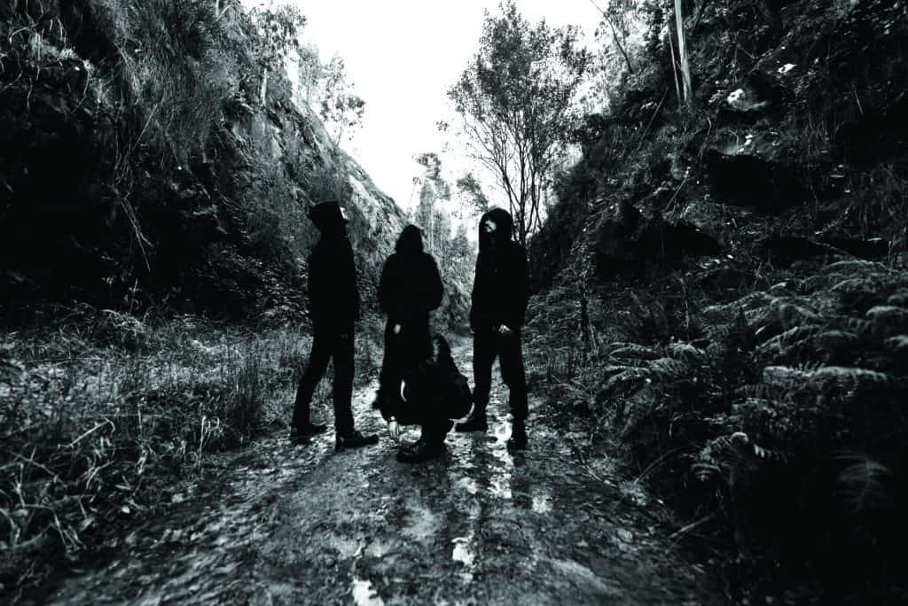 Epping Forest 3