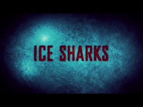 Ice Sharks 5