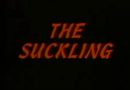 Suckling 1