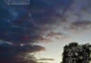 Blissful 2