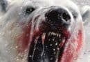 Maneater 5