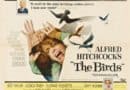 Birds 1