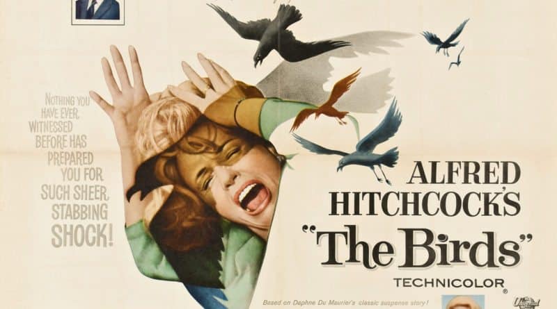 Birds 1
