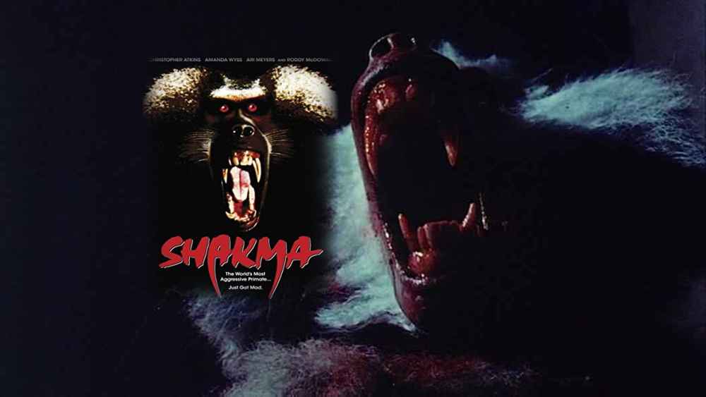 Shakma 1