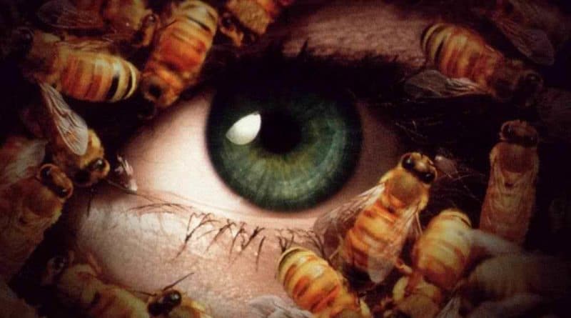 Candyman 3 1