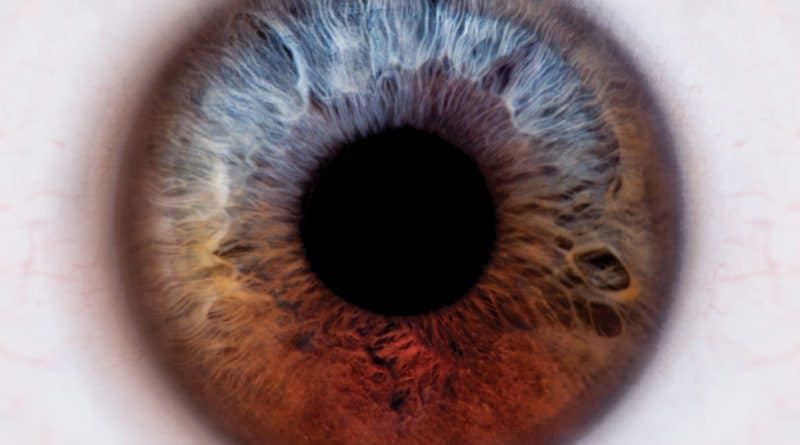 Solipsis 1