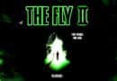 Fly II 1