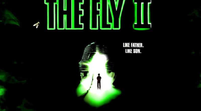 Fly II 1