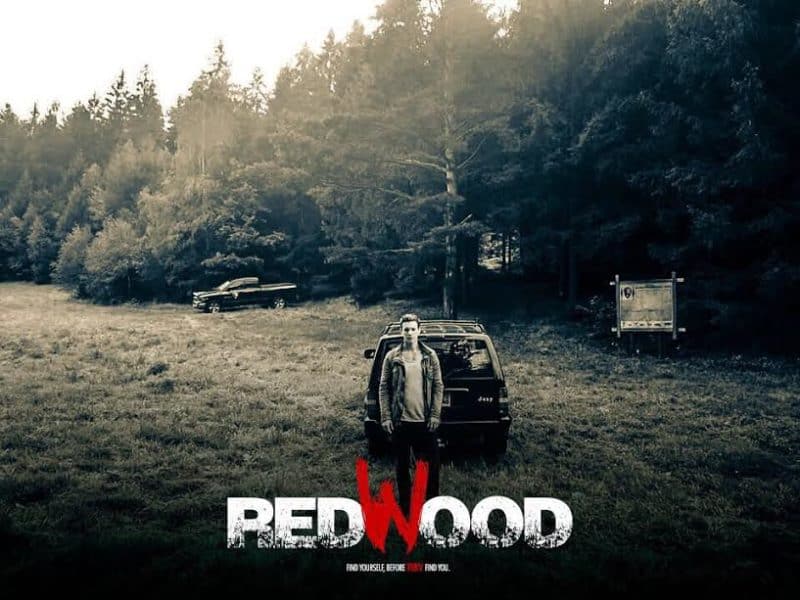Redwood 1