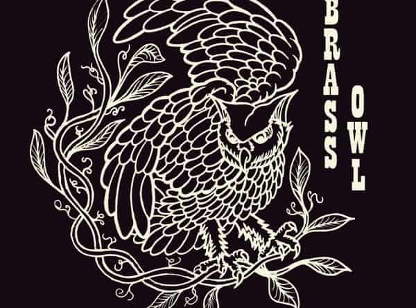 Brass Owl 1