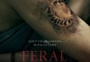 Feral 1