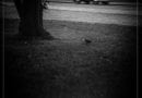 Restless Soul