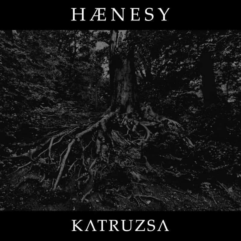 Hænesy 1
