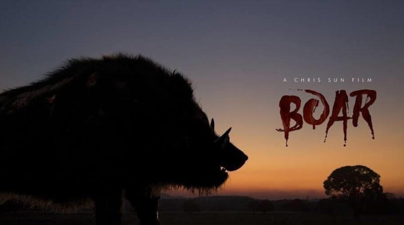 Boar 1
