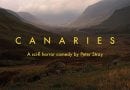 Canaries 1