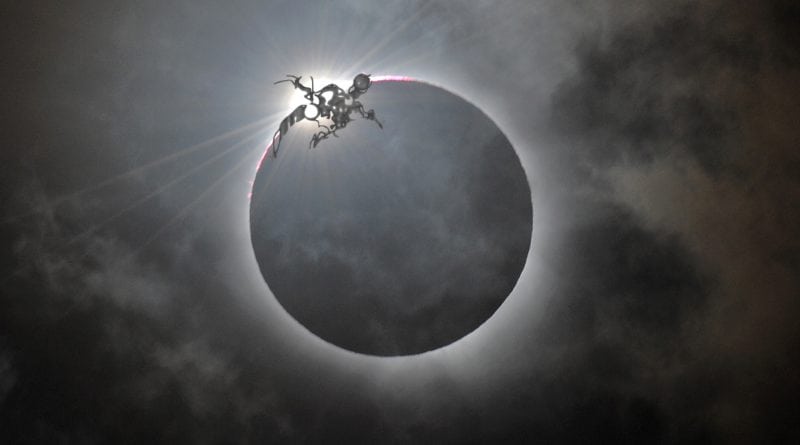 Black Sunrise 1