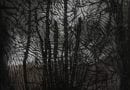 Hesperian Death Horse 1