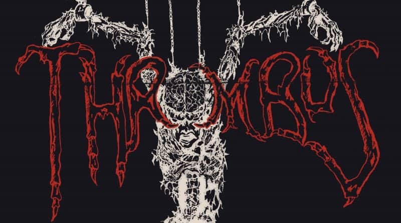 Thrombus 1