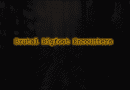Brutal Bigfoot 1