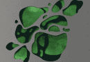 Phanerozoic