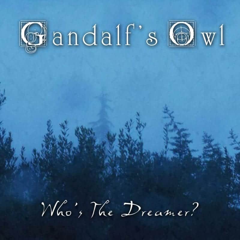 Owl 1