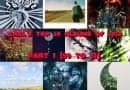 Top 50 2018 11