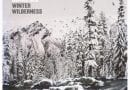 Winter Wilderness 2