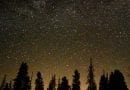 Evergreen Refuge 2