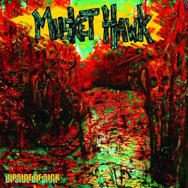 Musket Hawk 1