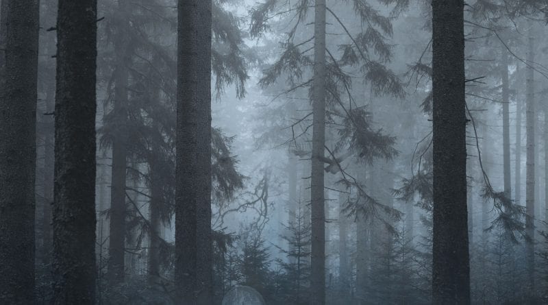 Lost Eternally 1