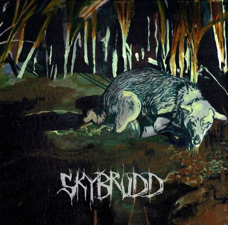 Skybrudd 1