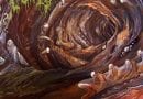 Fetid