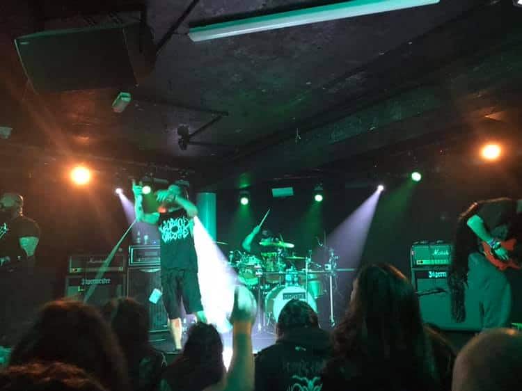 Incineration 6