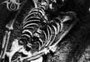 Hollow Land 1