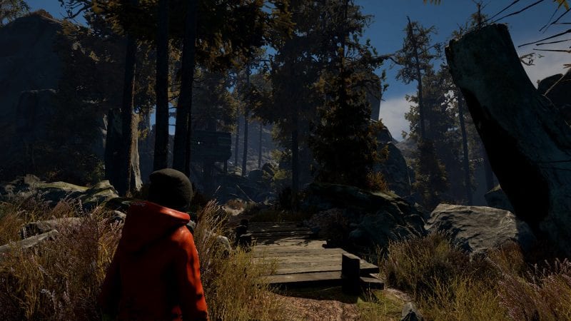 Through the Woods 3
